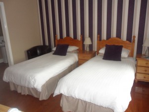 Dergfield House - Twin room